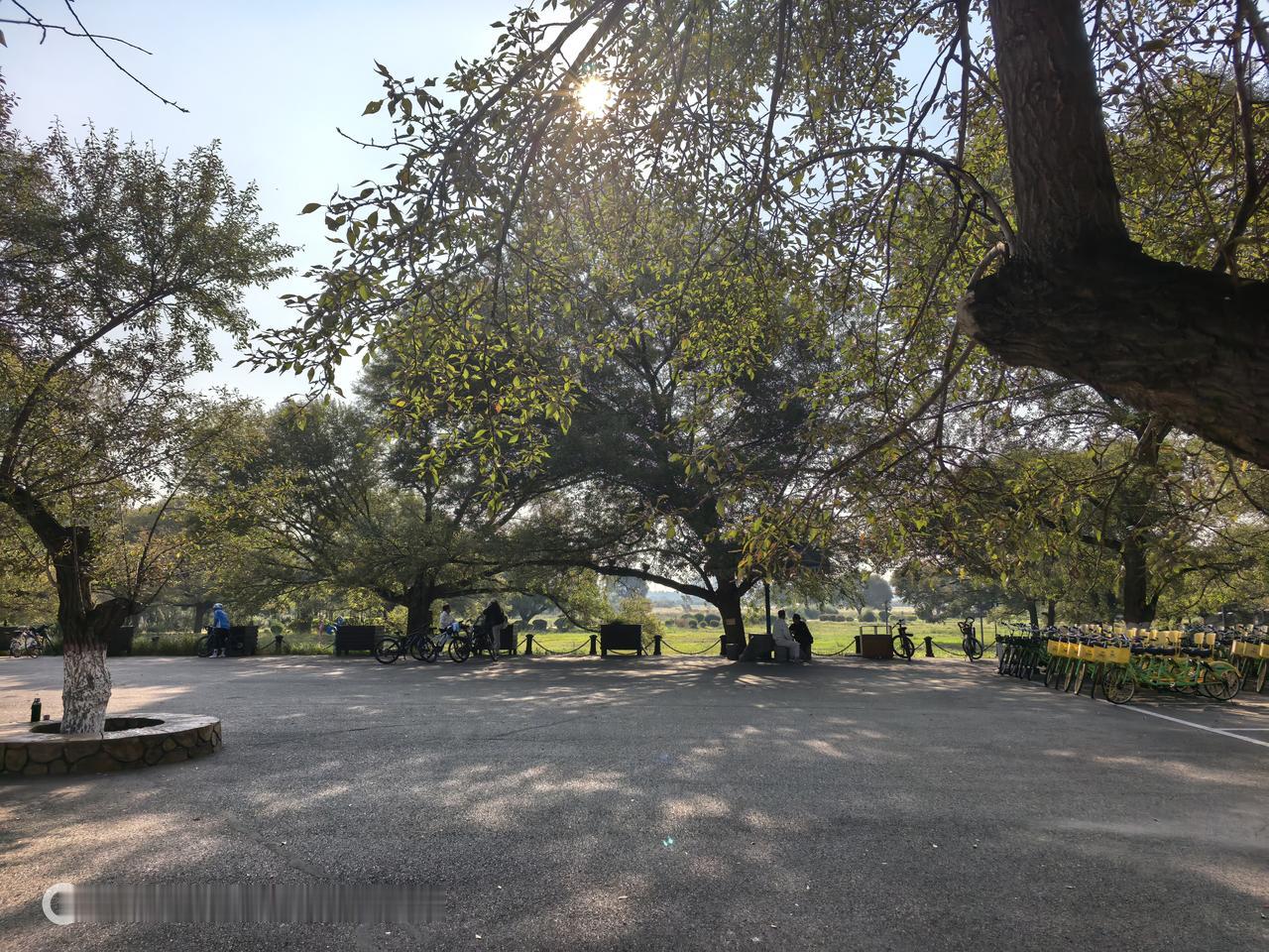 晴空万里，打卡包头赛罕塔拉公园骑行🚴🏻‍♀️！