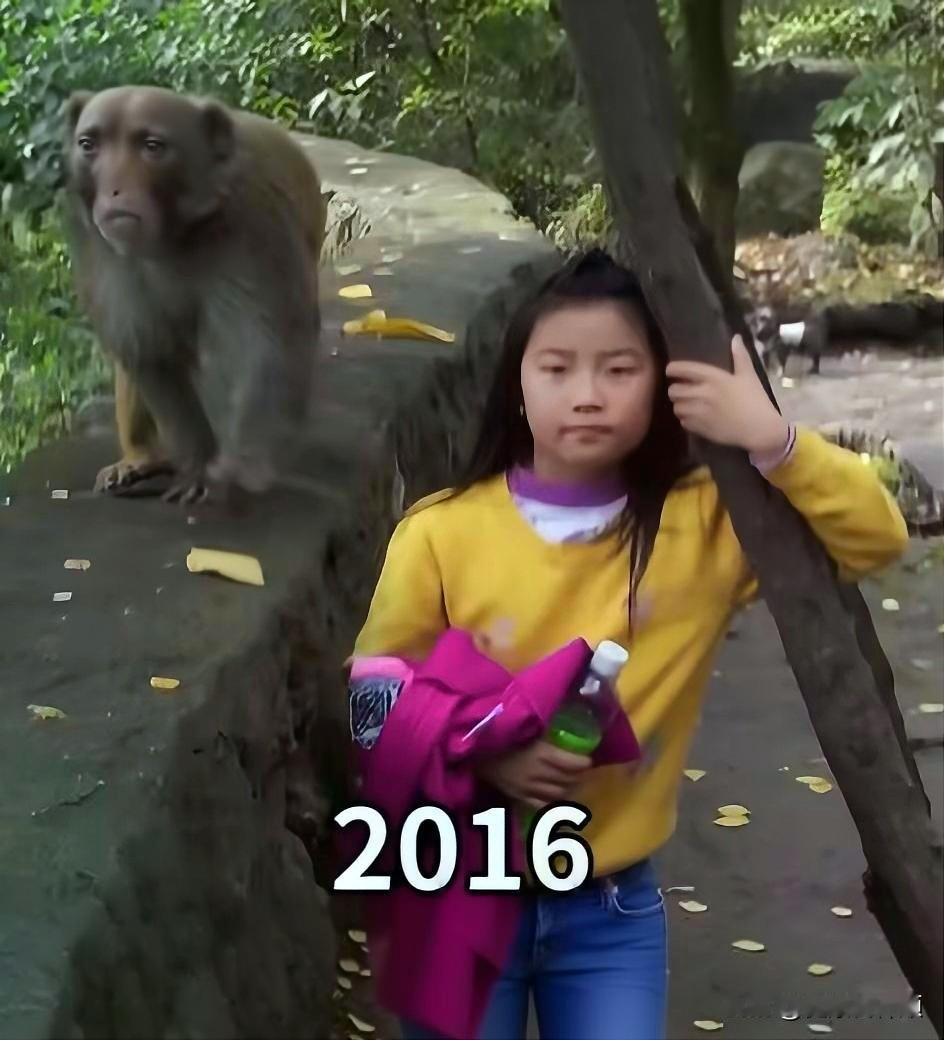 两张照片，同一个树桩，同一个扶树姿势，跨越十年岁月！2016年出游，身后蹲着一只