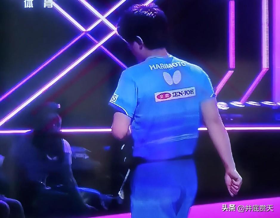 高菡今天出了一个“大事故”。
刚刚张本智和与向鹏争夺横滨八强，向鹏0：3又一次输