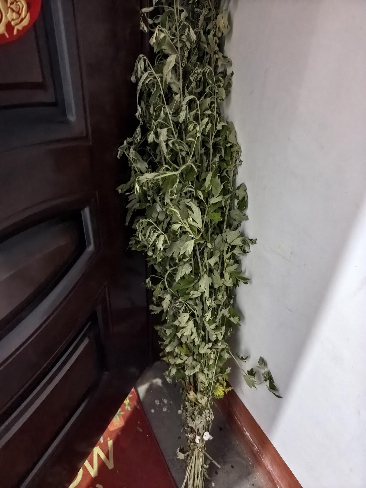 端午的仪式感拉满了。艾叶，甑糕安排到位，花10元买了一个香包，两个朱砂牌及一个红