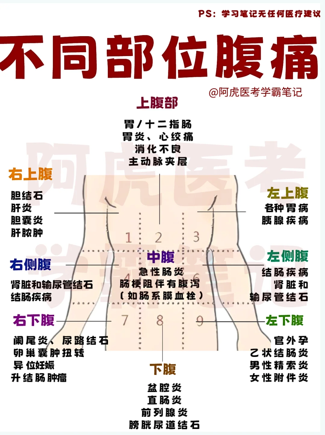 医学生笔记📒：不同部位肚子疼👆