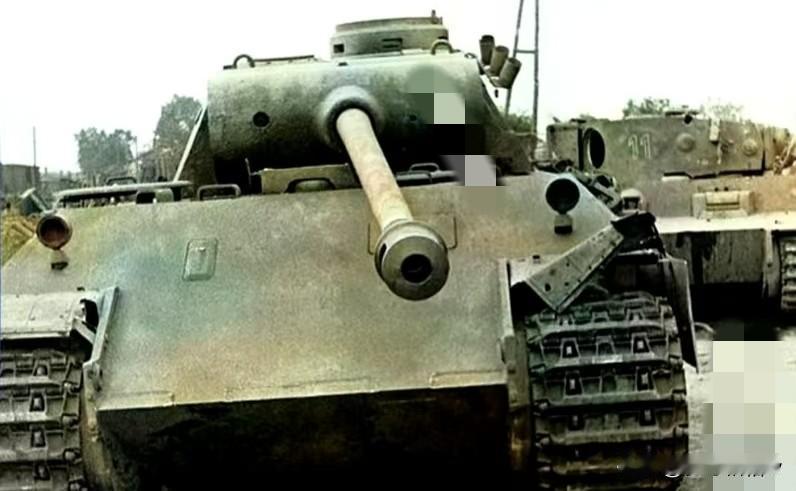 在库尔斯克战役之前，苏联方面对豹式坦克并非一无所知。

s其实，尽管苏联在库尔斯