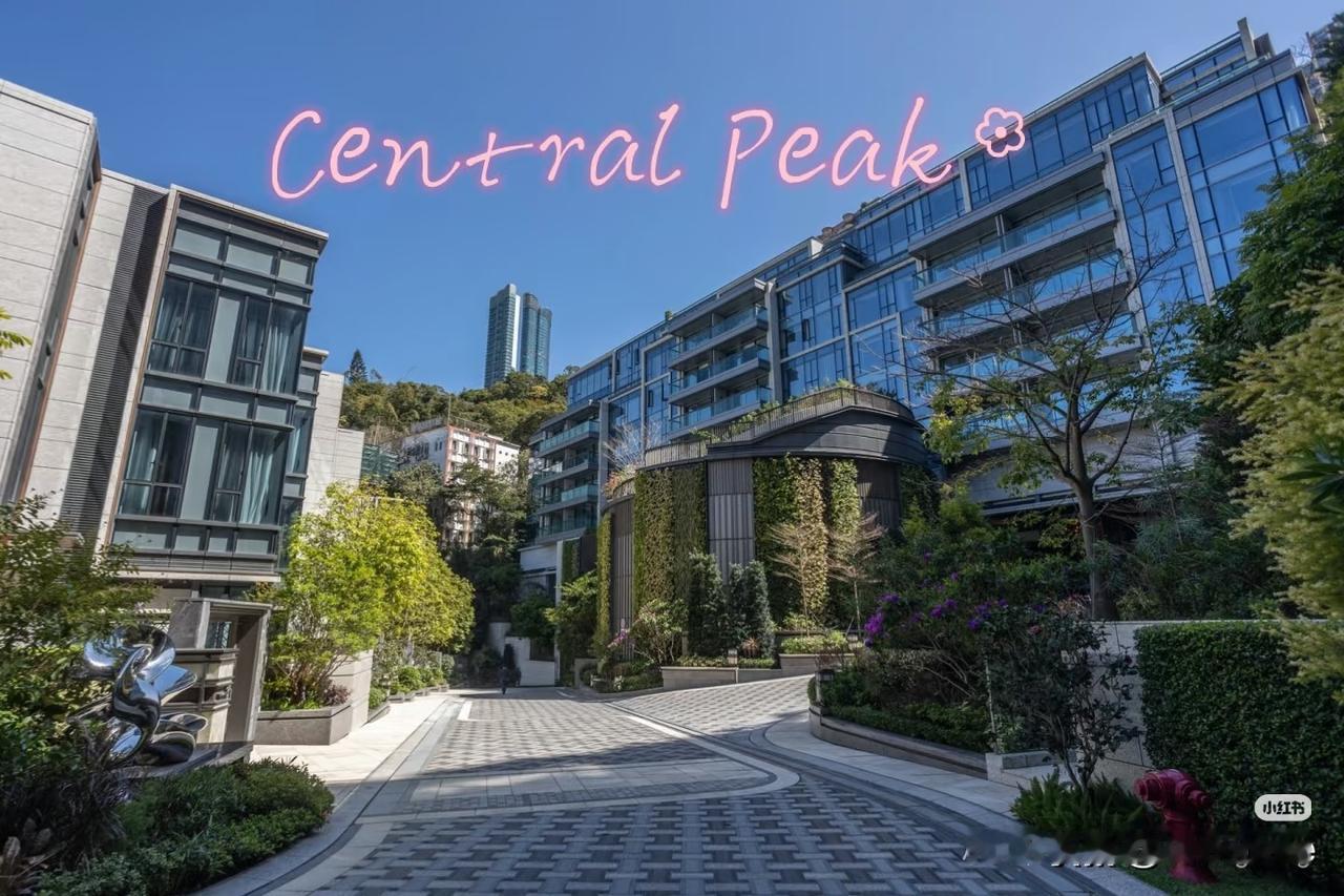 香港东半山司徒拔道Central Peak
CENTRAL PEAK 主打大户型