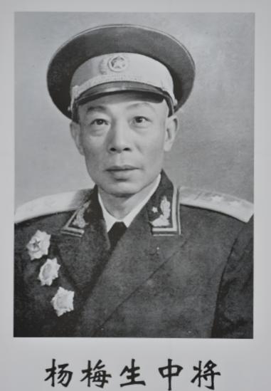 1949年，清剿湖南6万残匪的军长杨梅生路过小镇，见一乞丐老太酷似亡母，派警卫去