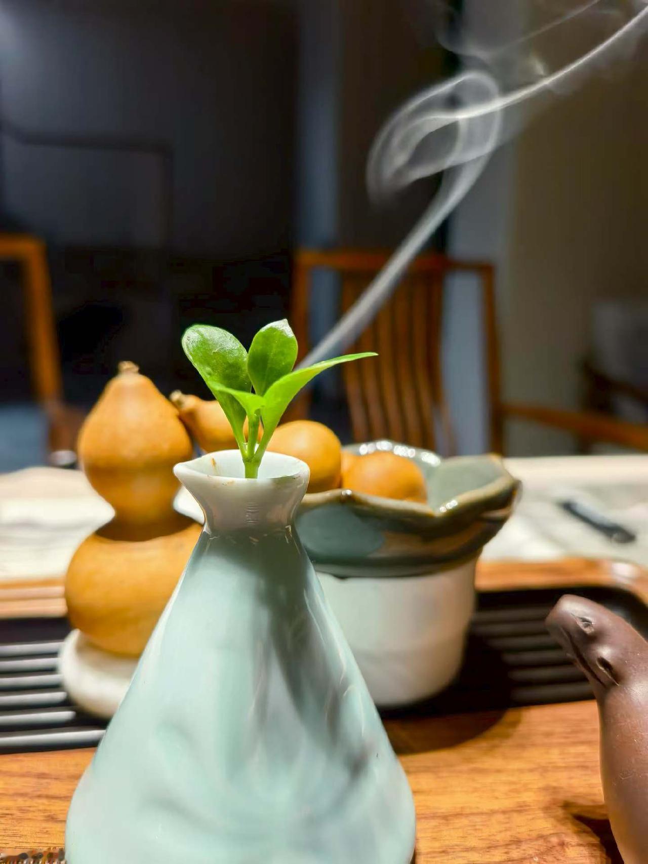 人生起落无常，
唯有健康始终相伴。
一无所有的日子里，
健康是你翻盘的底气；
功