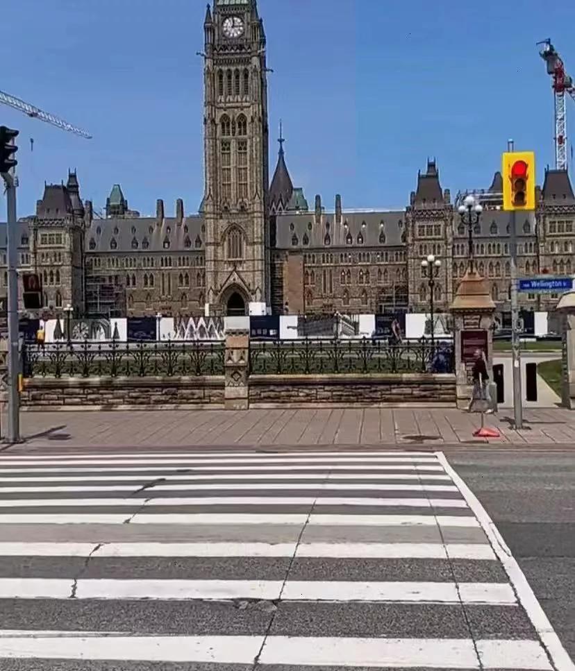 原来北上广的家长早就给孩子换赛道了!省了很贵的留学费，直接釜底抽薪!
国内50%