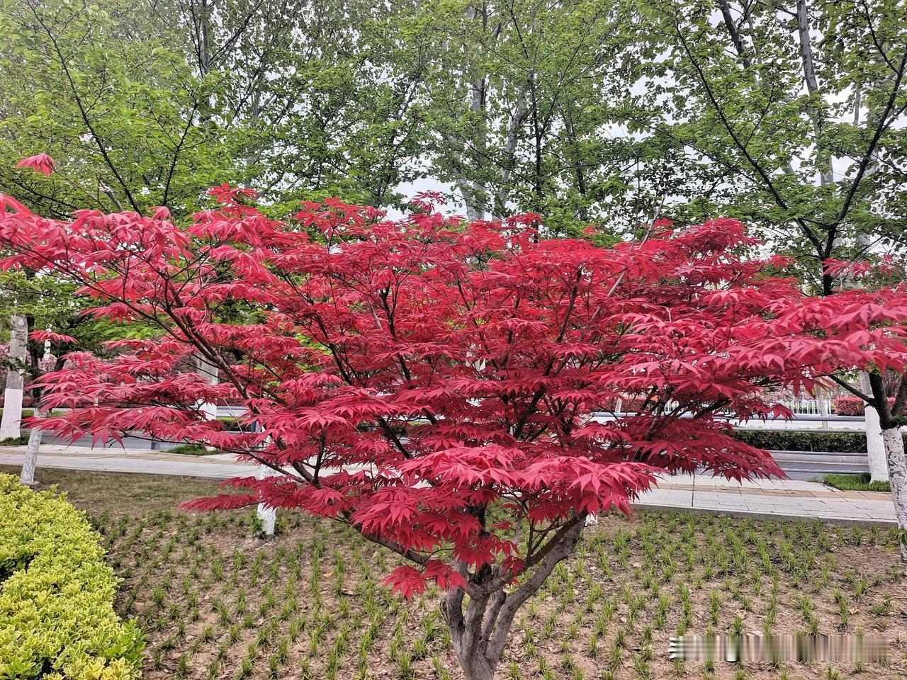 上联：水浅王八多
下联：山高皇帝远

终生坚持作品原创的人
图片来源于作者拍摄