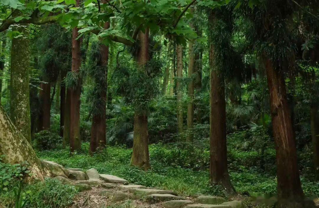 为什么滋补药材多出东北，治病良药常出云南？因为艮土、坤土导致两地药性各有特点。 