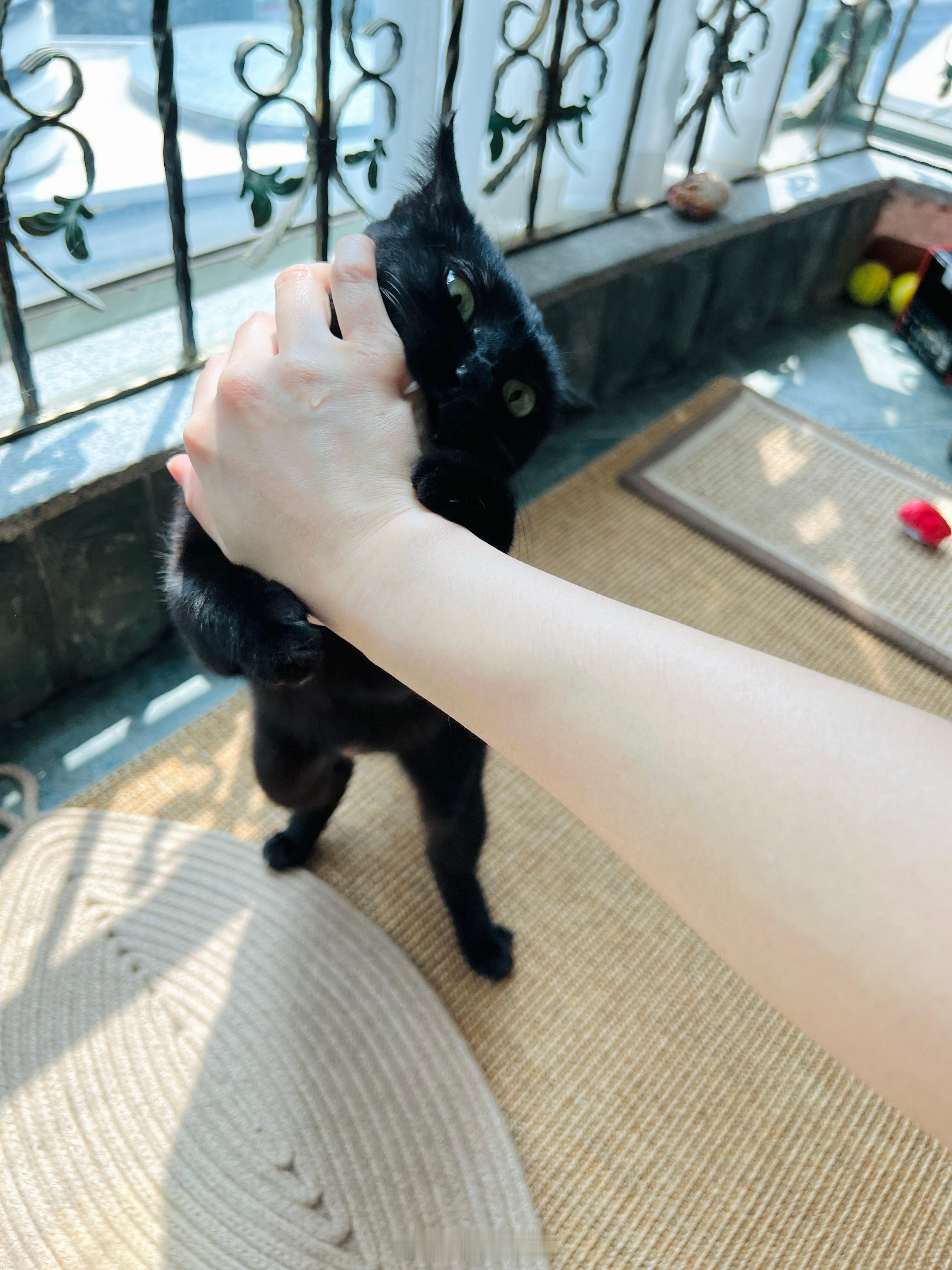 不是咬、就是舔。#蝦蝦不可以太可愛# ​​​