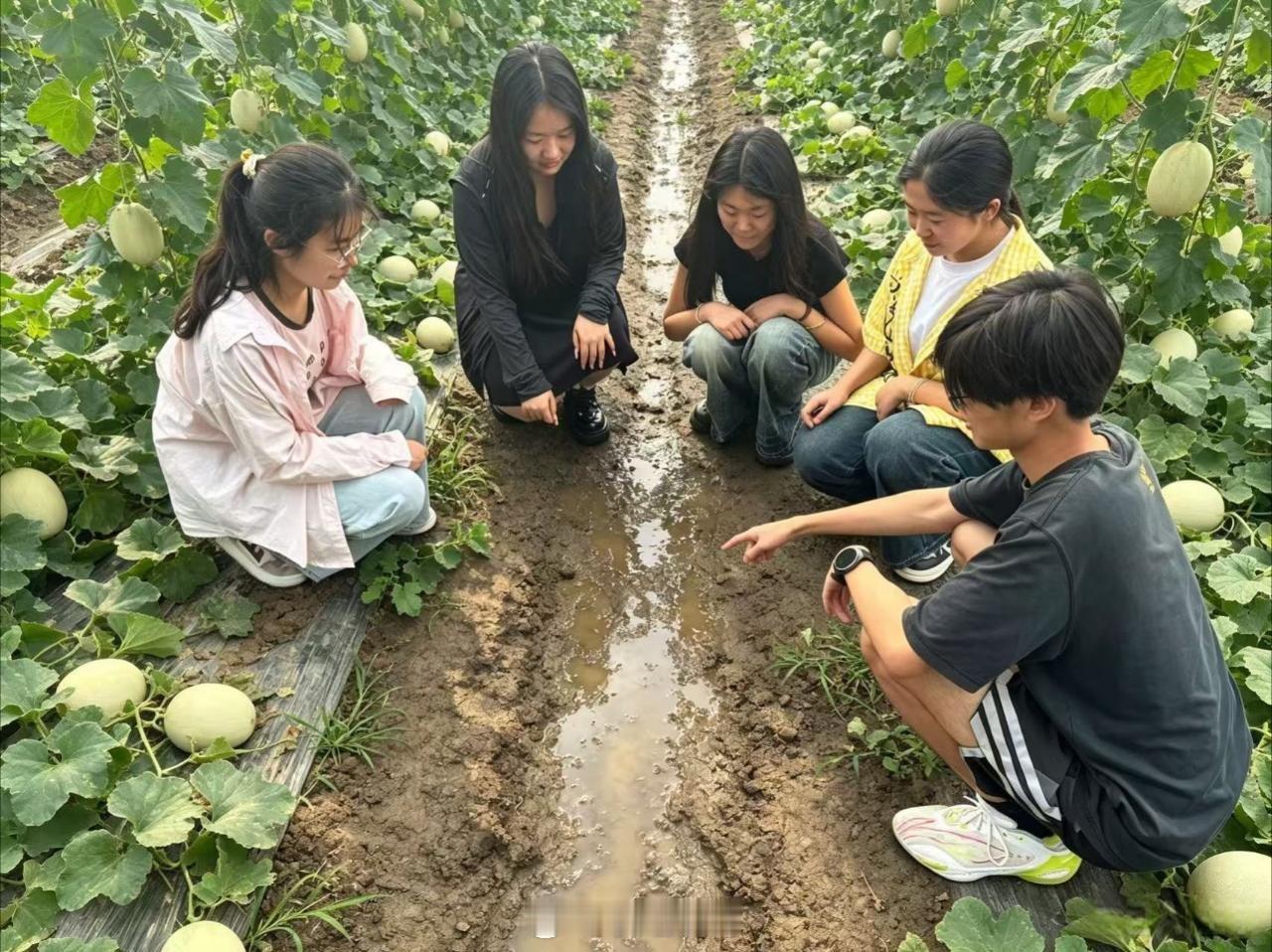 【青春助力甜瓜旺，实践赋能乡村兴】青春三下乡社会实践曲阜师范大学 乡村振兴战略深