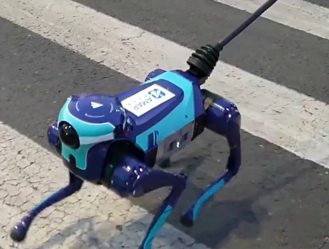 阿里首款具身机器人将亮相亦庄半马科技真暖！之前还在街头帮盲人过马路的机器狗，这就