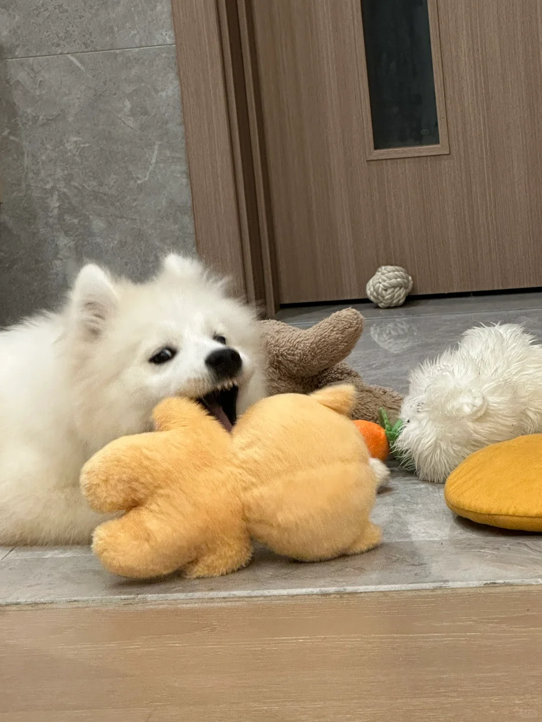 舍友什么都不让碰有必要和她撕破脸吗…