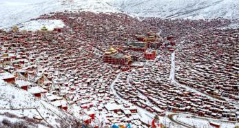 这所藏在雪域高原的大学，绝对是普通家庭孩子逆袭的黄金赛道。
它就是西藏大学，西藏