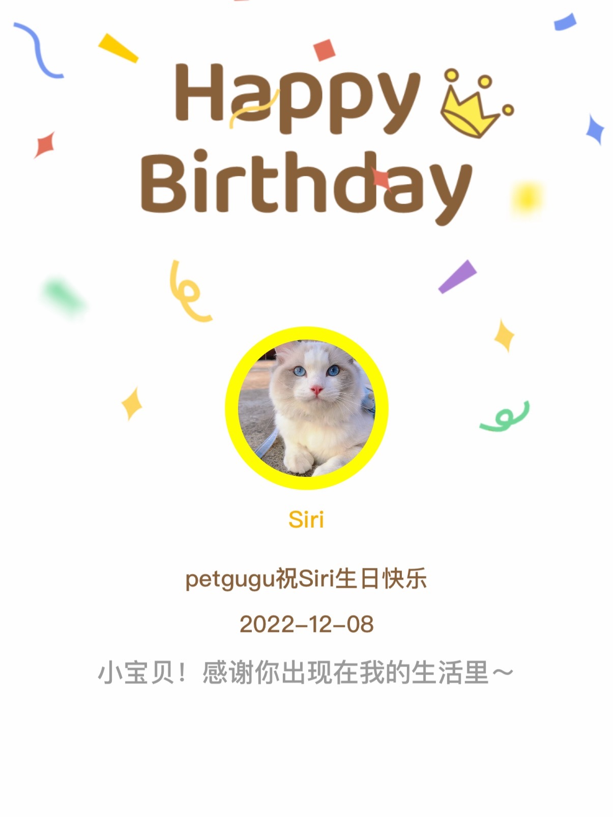 好快呀，我的Siri三岁啦！已经是一个帅小伙了