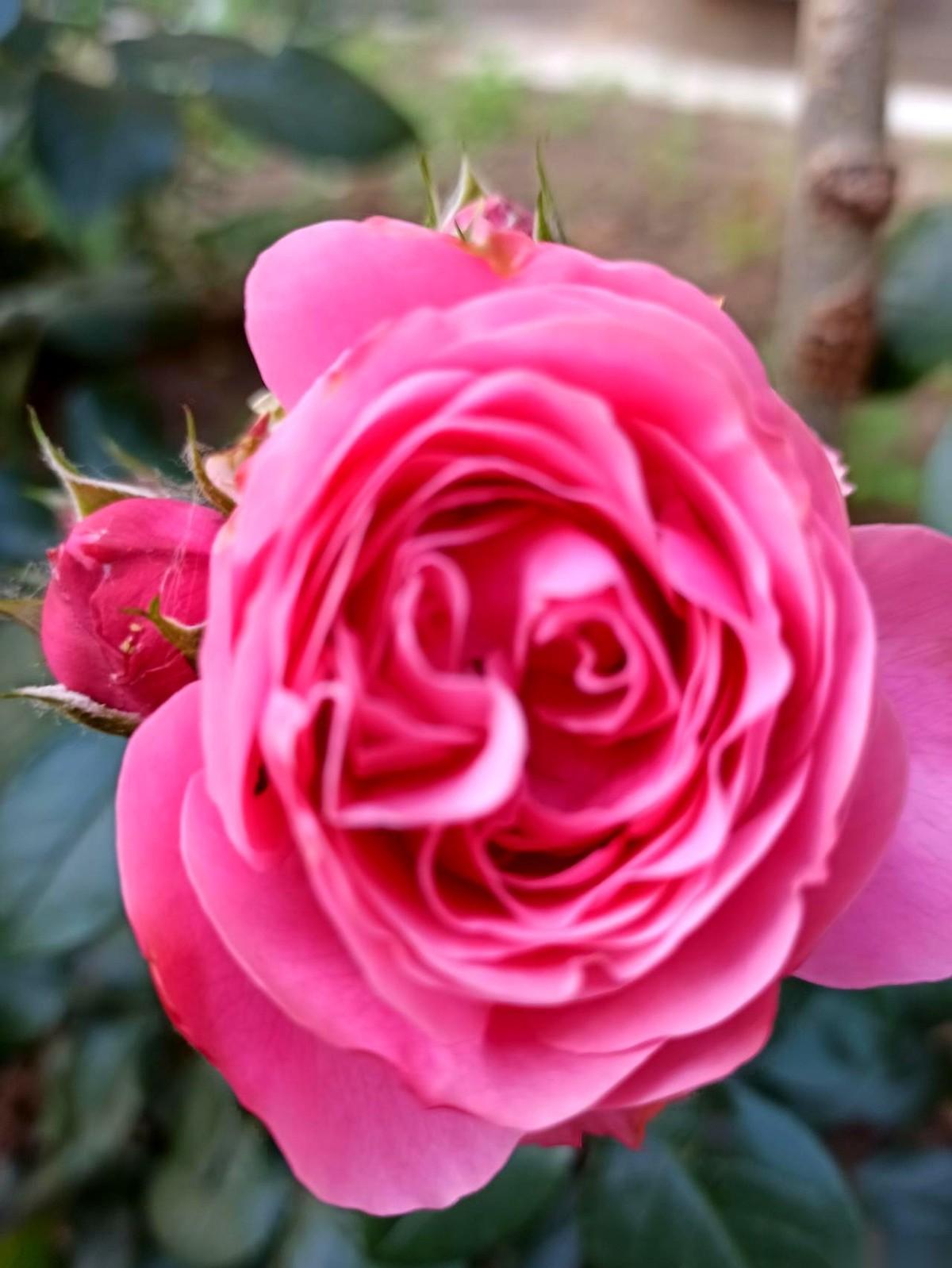 我跟你说，这世上最可怕的，不是欠钱不还。
是欠了钱，还觉得自己特聪明，能把债主耍