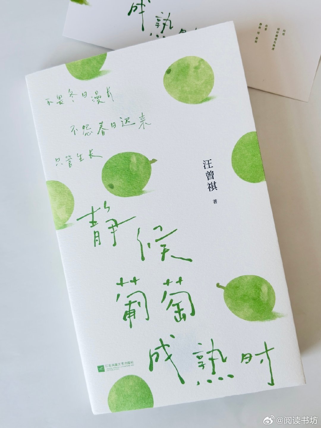 多读书会养出自己的大气书评我的私人宝藏书单 📚《静候葡萄成熟时》出品：《静候葡