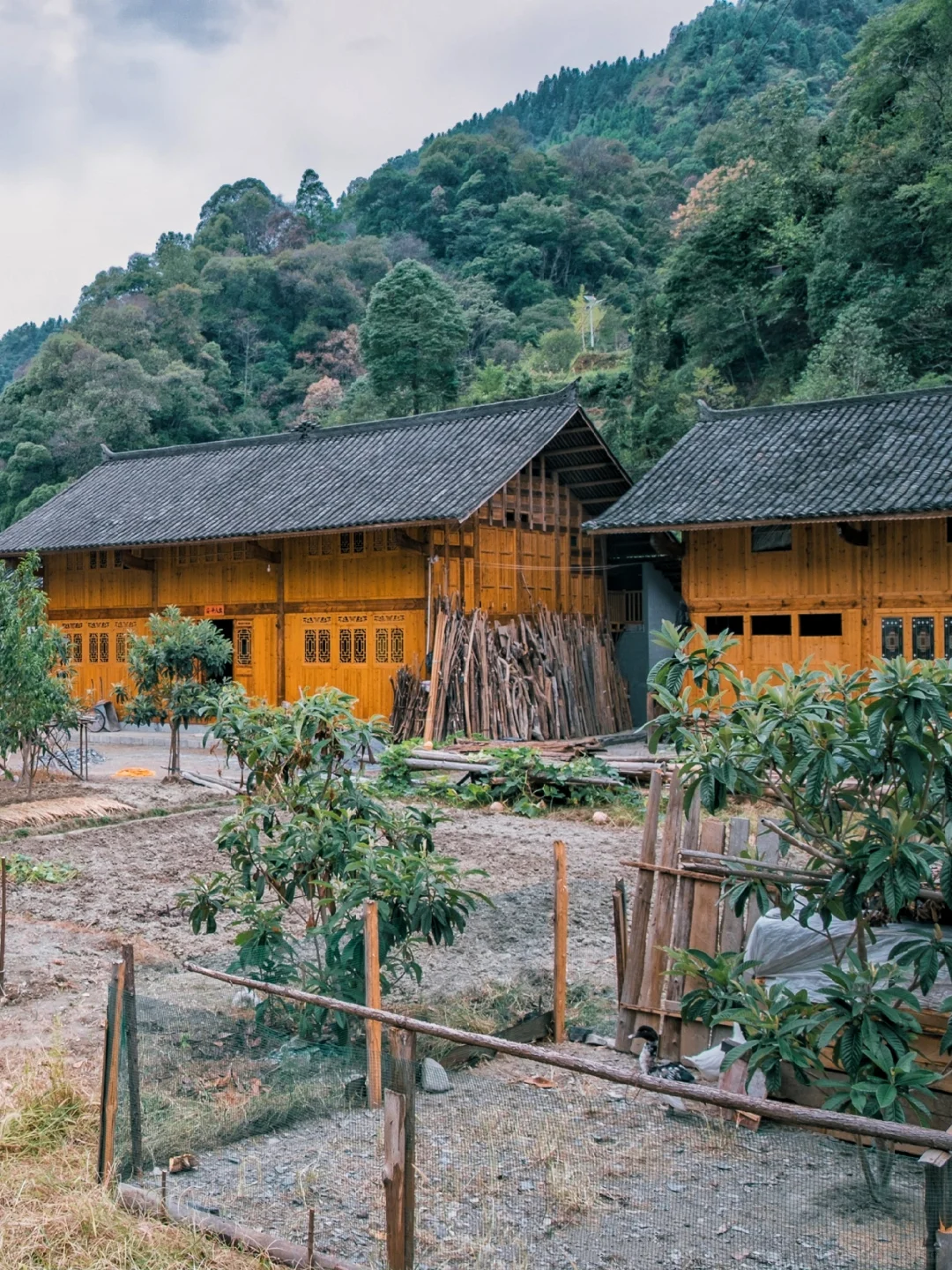 自驾湘西，小众探秘记:吕洞圣山，楚天辽阔