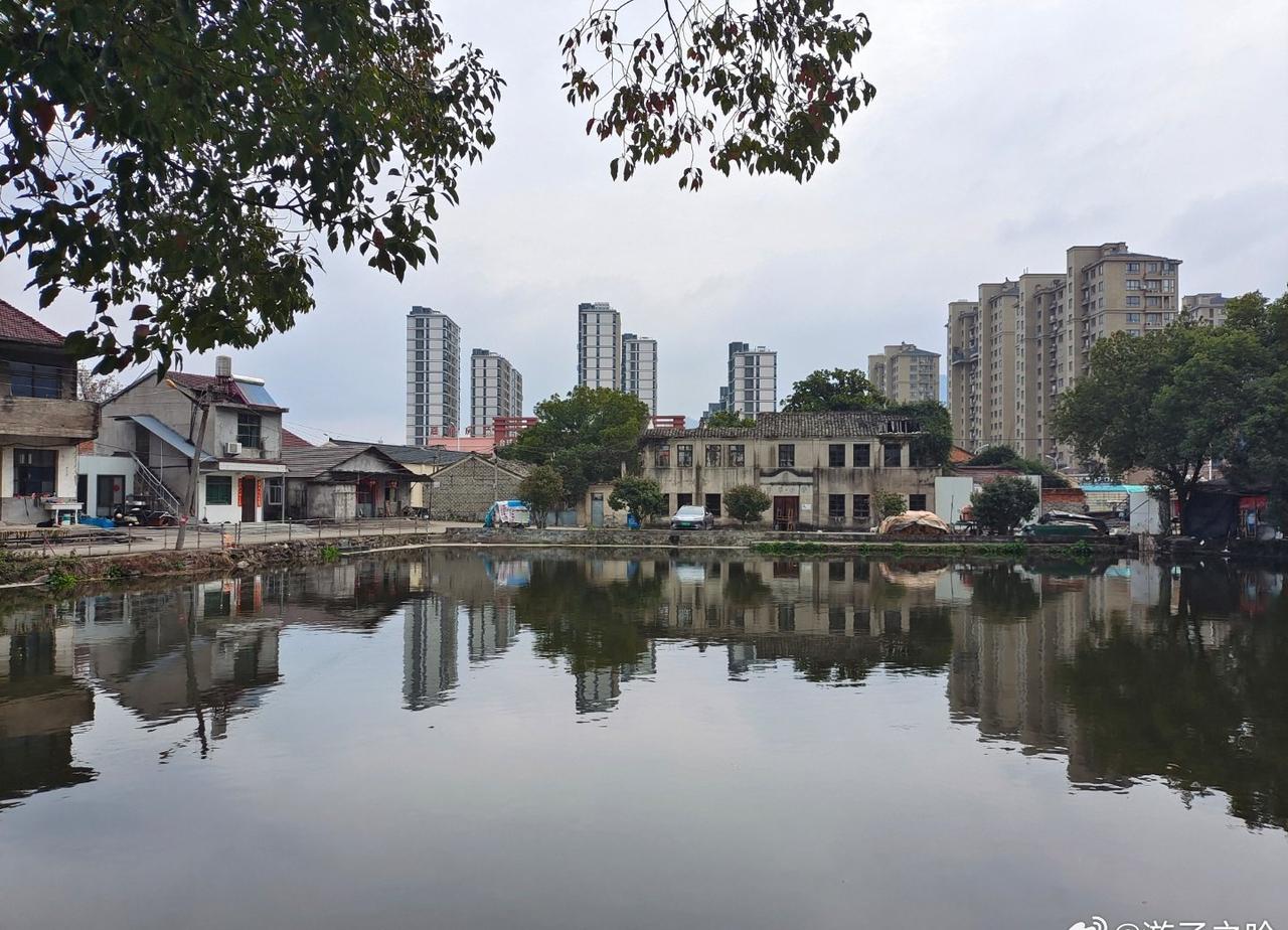 高楼拔地而起
老街渐渐消失[微风]
即景 ​​​