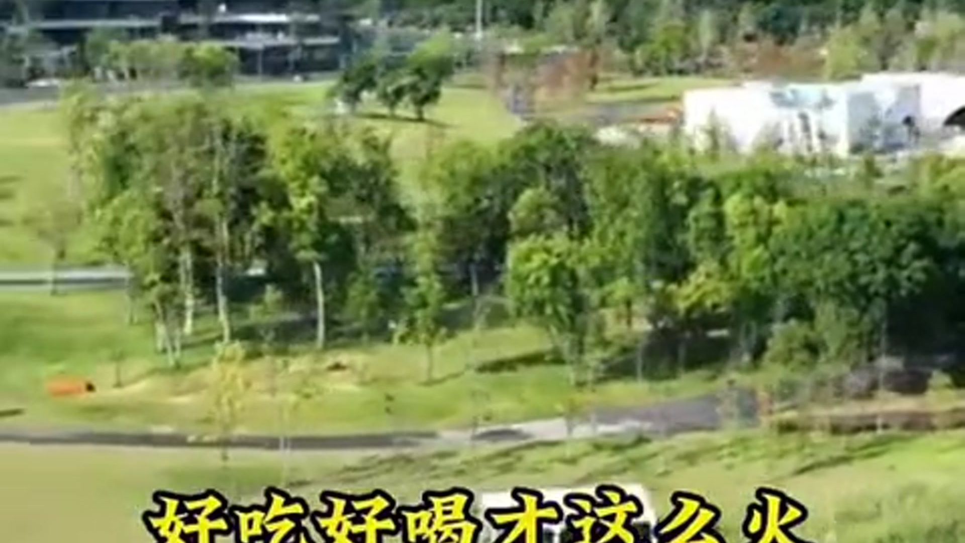 千年蓉城成都，为何能成为天府之国的核心腹地？