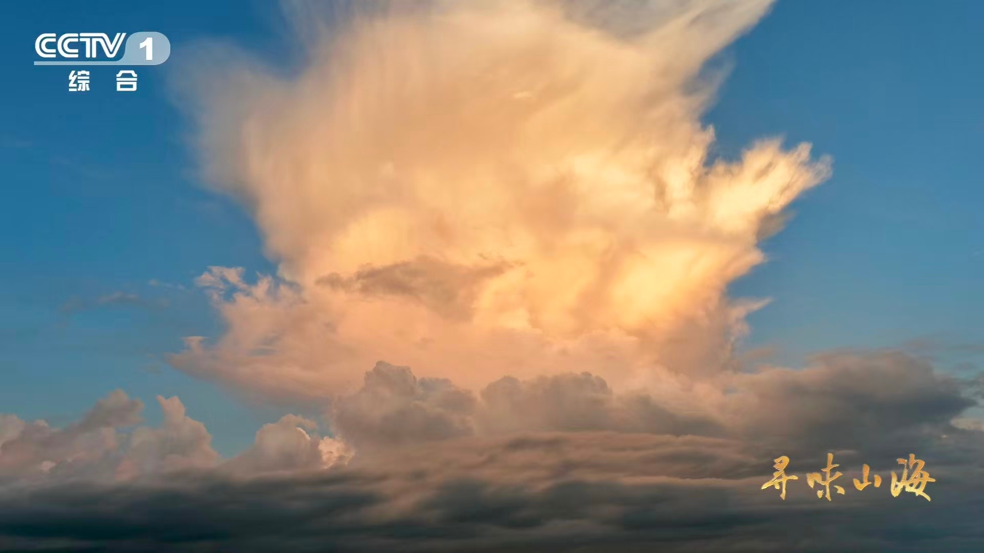 河豚牙口强得可怕福建人养出了无毒级河豚当萌态可掬的外表遇上惊人咬合力，河豚轻松咬
