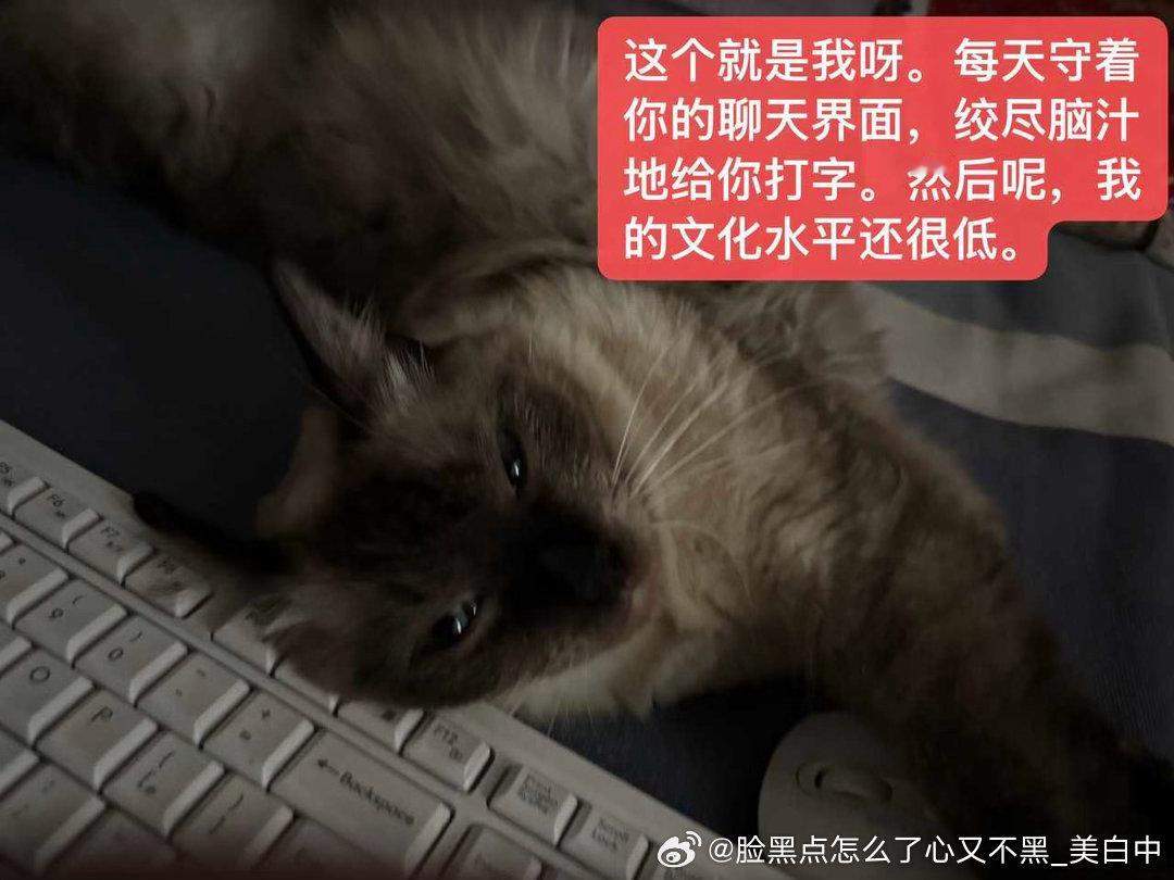 早安逼罗