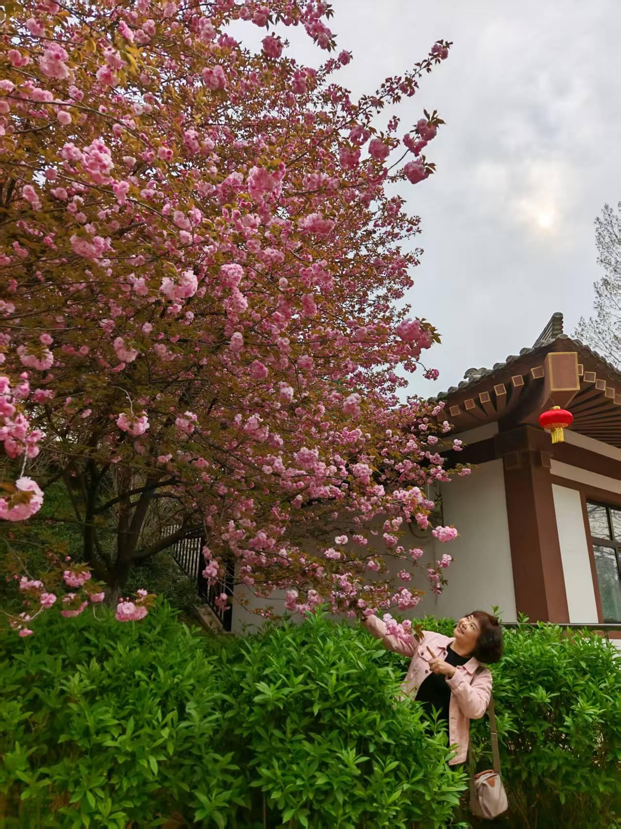 今天没去打工，睡到了自然醒。一睁眼，伸伸胳膊扔扔腿，哪哪都疼。尤其是右胳膊，老伤