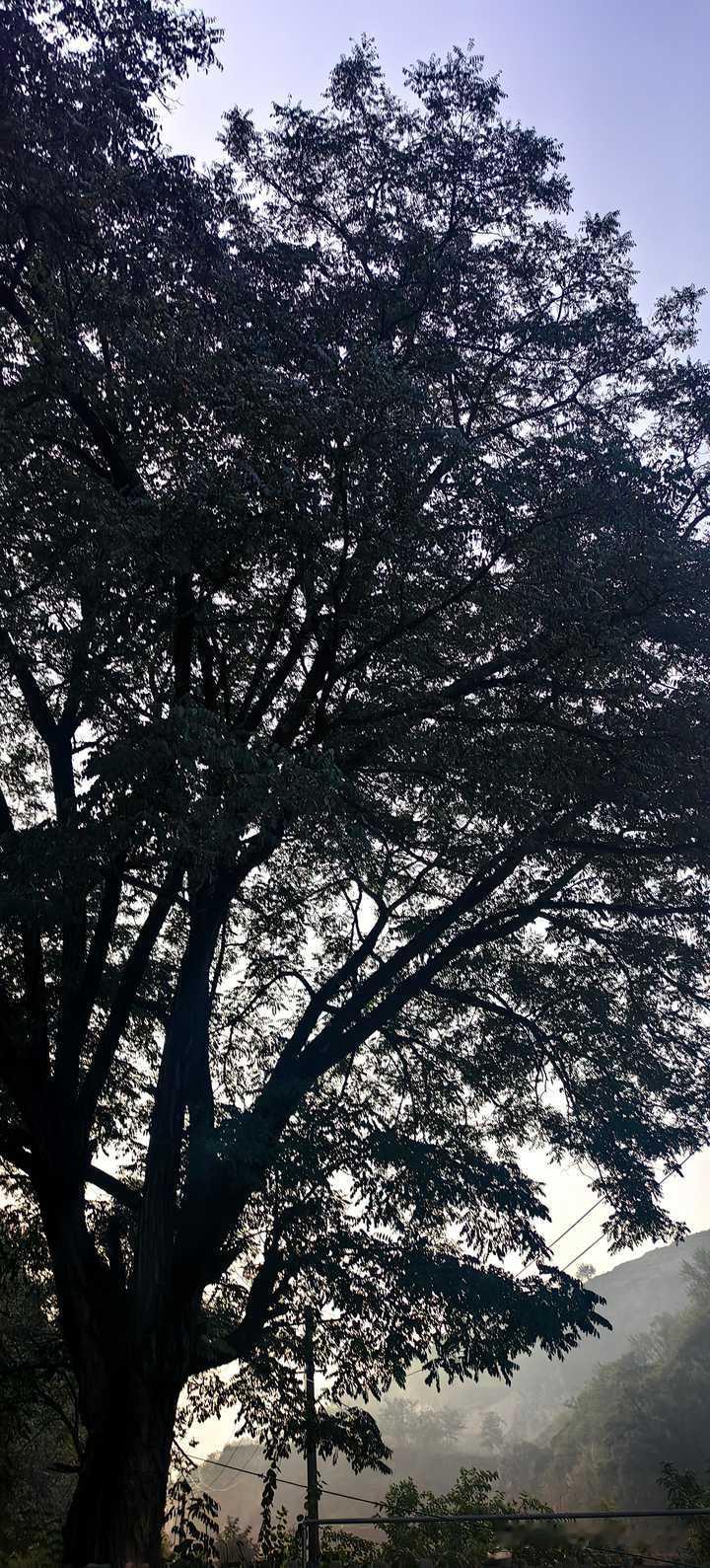 法律问题是应该问百度还是咨询律师？
三颗牙和16针：百度查得到伤情，查不到人心