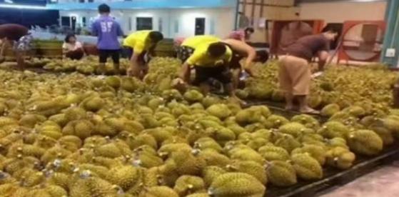 失去中国市场后，大量水果烂在地里卖不掉，现在开始后悔得罪中国。
说白了,现在越南