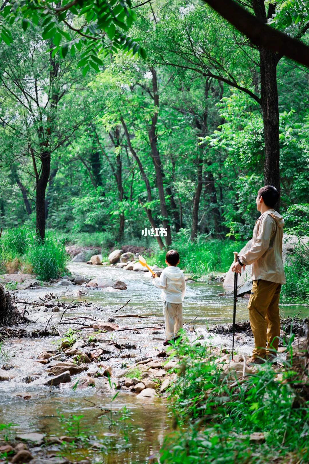 近郊森系露营💨20min车程5个露营/徒步地