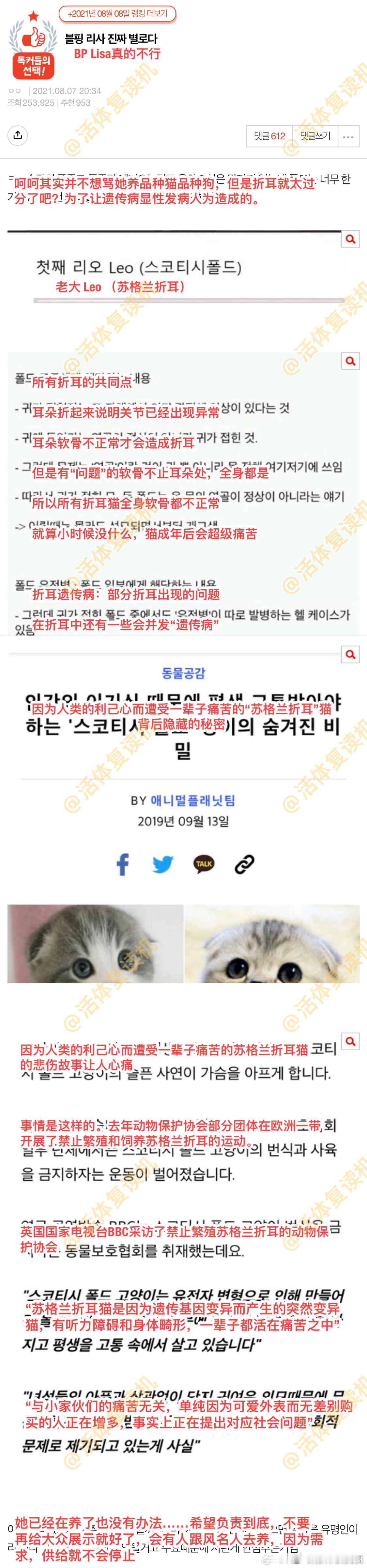 #Lisa养猫惹争议# 疯马秀事件之后 lisa的人设就极限崩溃 不管是什么活动