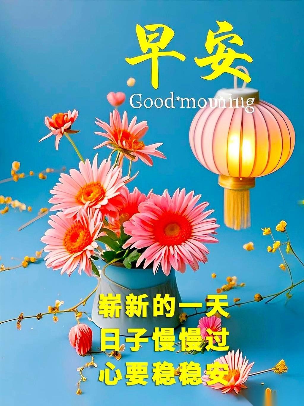 一拉开窗帘，好家伙，整个世界都黄了。
美得跟电影海报似的。
然后一秒钟，脑子里就
