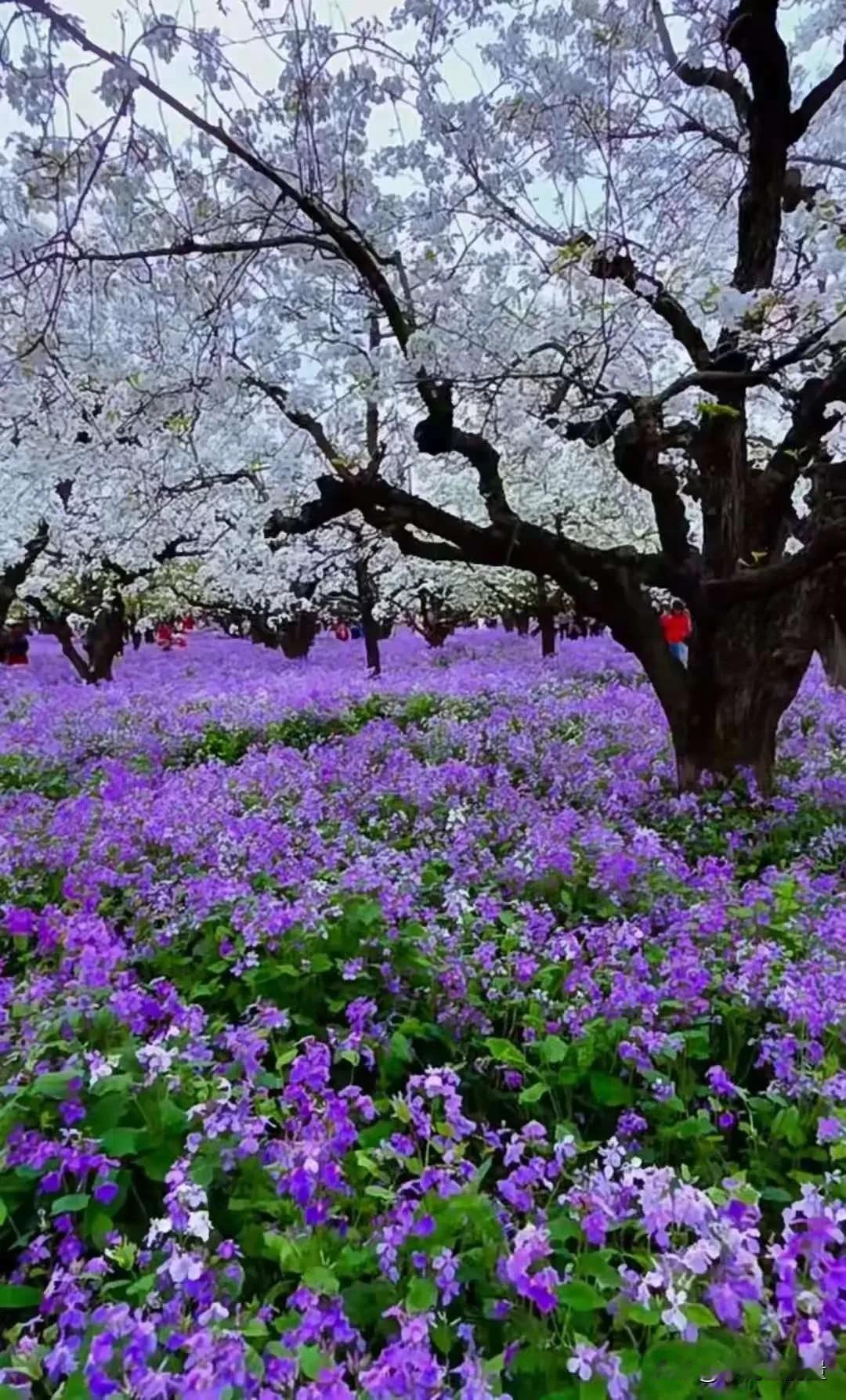 扎心了！搞定婆媳关系，不用讨好，只需做好这7个“少”！

婆媳关系是千古难题，但