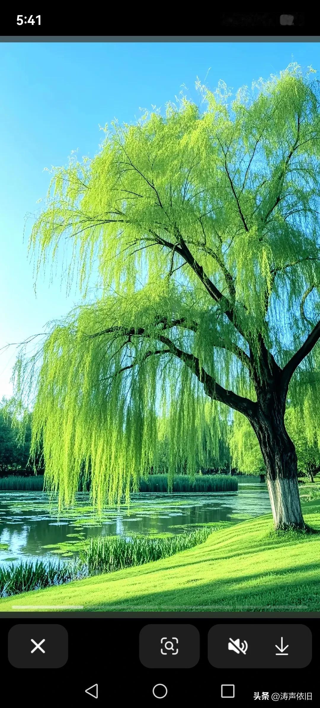 《卜算子·取舍人生》
 
俗扰皆删去，
清欢且自留。
世事浮沉加减里，
心自淡无