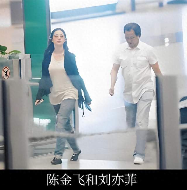 从“神仙姐姐”到盐商孤女，刘亦菲不解释、不卖惨、不回应