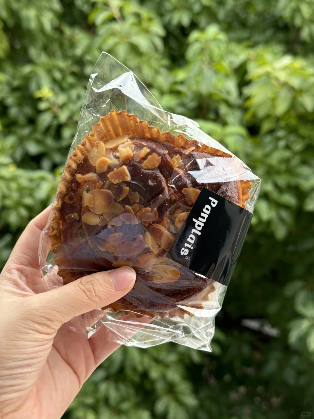 给蓝带姐交学费 panplais首吃体验