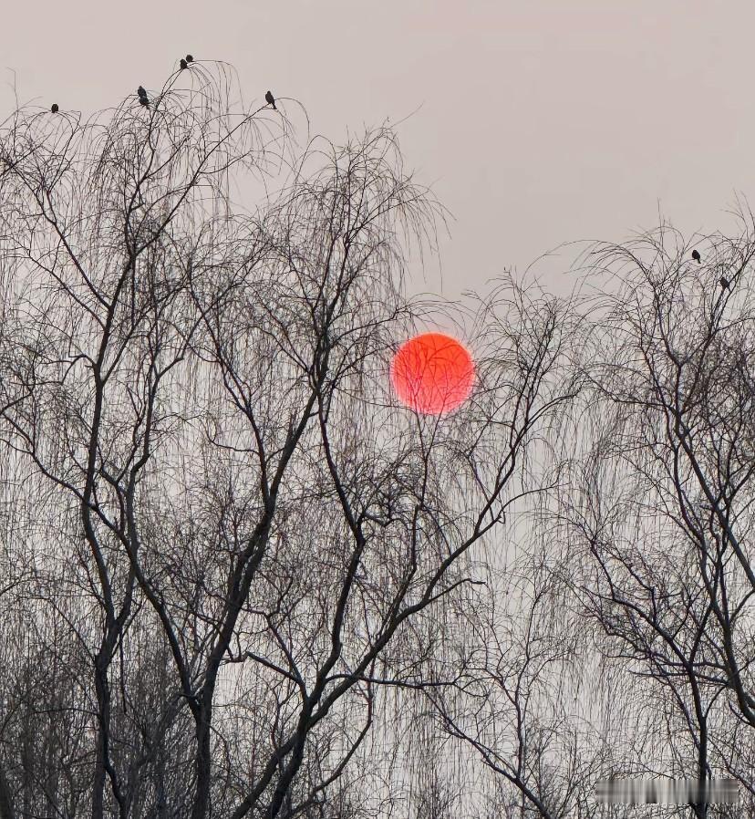 人穷了连亲人都瞧不起,你怎么看?血淋淋的事实，富在深山有远亲，穷在闹市无人问。当