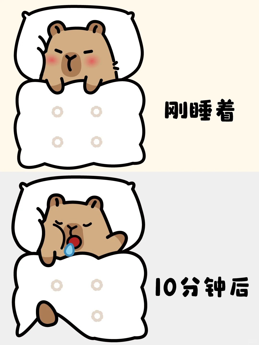 你以为睡着的样子vs实际睡着的样子✨