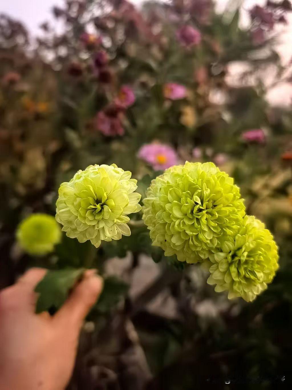 没事做的人才来头条，确实，我也是，要是有事做，谁还来头条写写，逛逛。

我天天坐