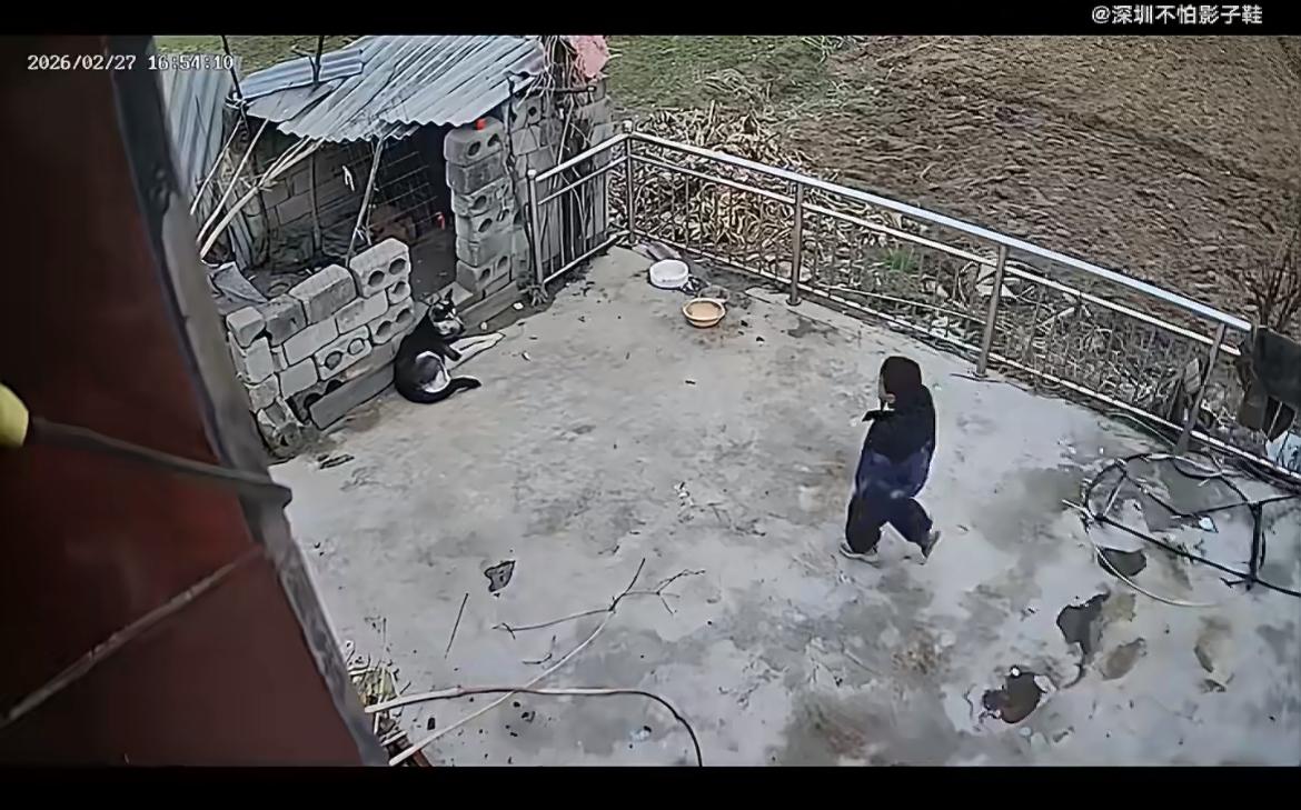 拴在自家院长的狗把人咬了，需要赔偿吗？看看河南某农户的案例，农户外出干活，把狗拴