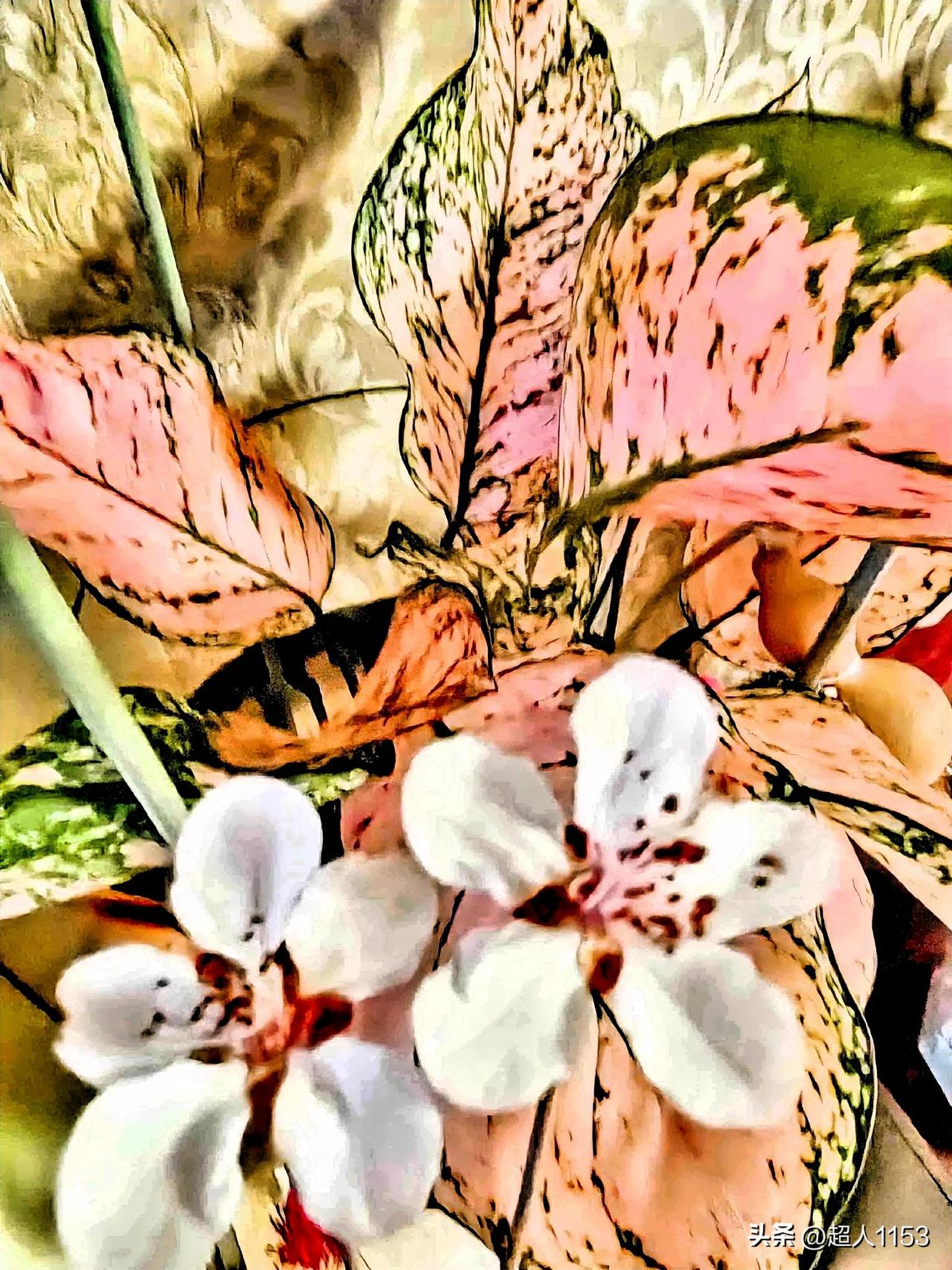 又到了美好周日，
今天的天气很好，

阳光灿烂又明媚，
天气好心情更好。

随手