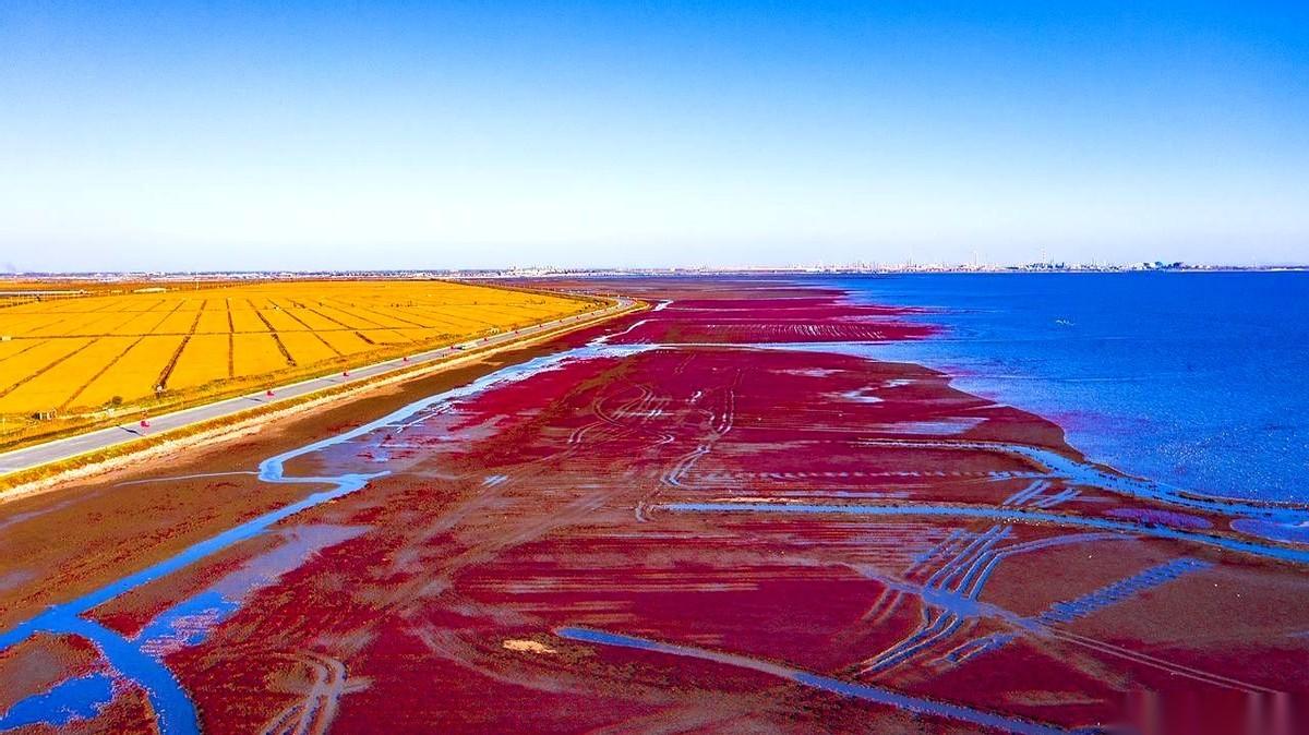 “嘭”的一声，刘涌跑着跑着，鞋没了。
真的，就这么玄乎。后脚跟那块儿，连皮带肉，