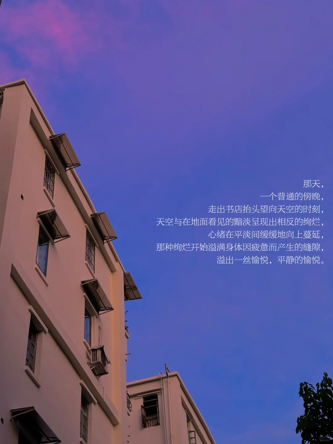 “人们都在按照自己的价值观生活。”