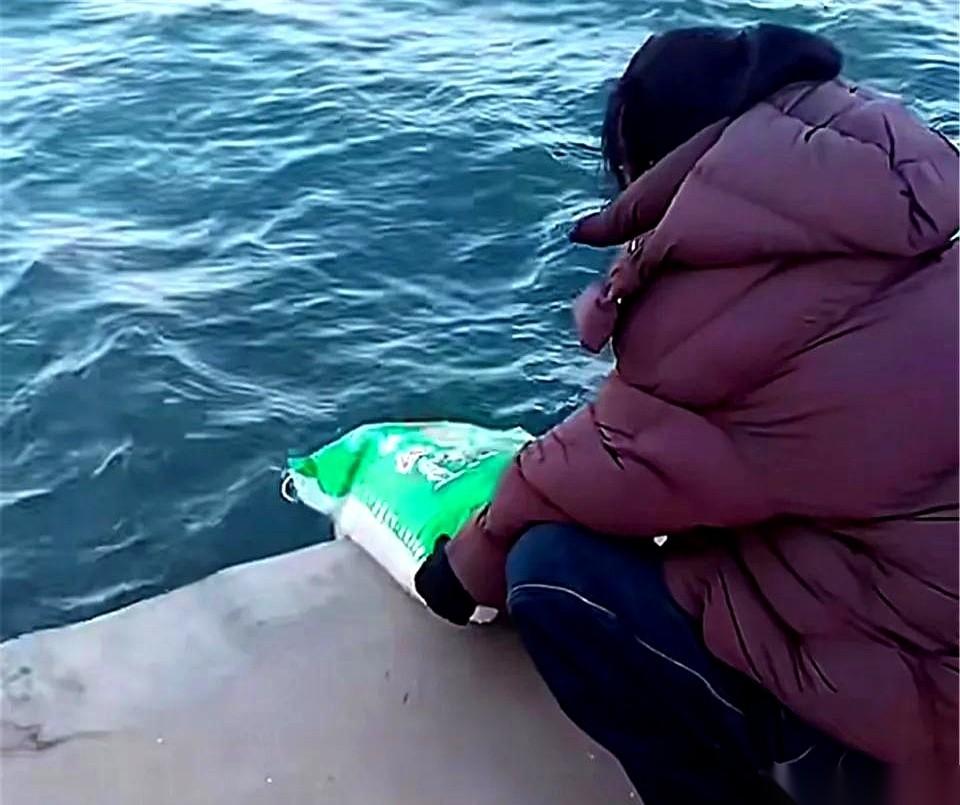 我今天真是开了眼了。
把一袋一袋白花花的大米，哗哗地，全倒进了海里。
还拍着视频