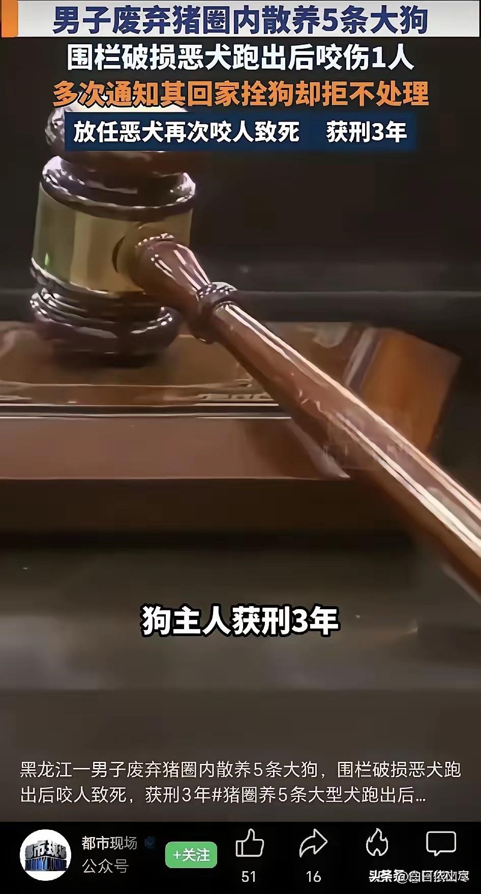 令人痛心！黑龙江，一名男子被狗咬后报警，民警两次通知狗主人马某回家处置，他愣是没