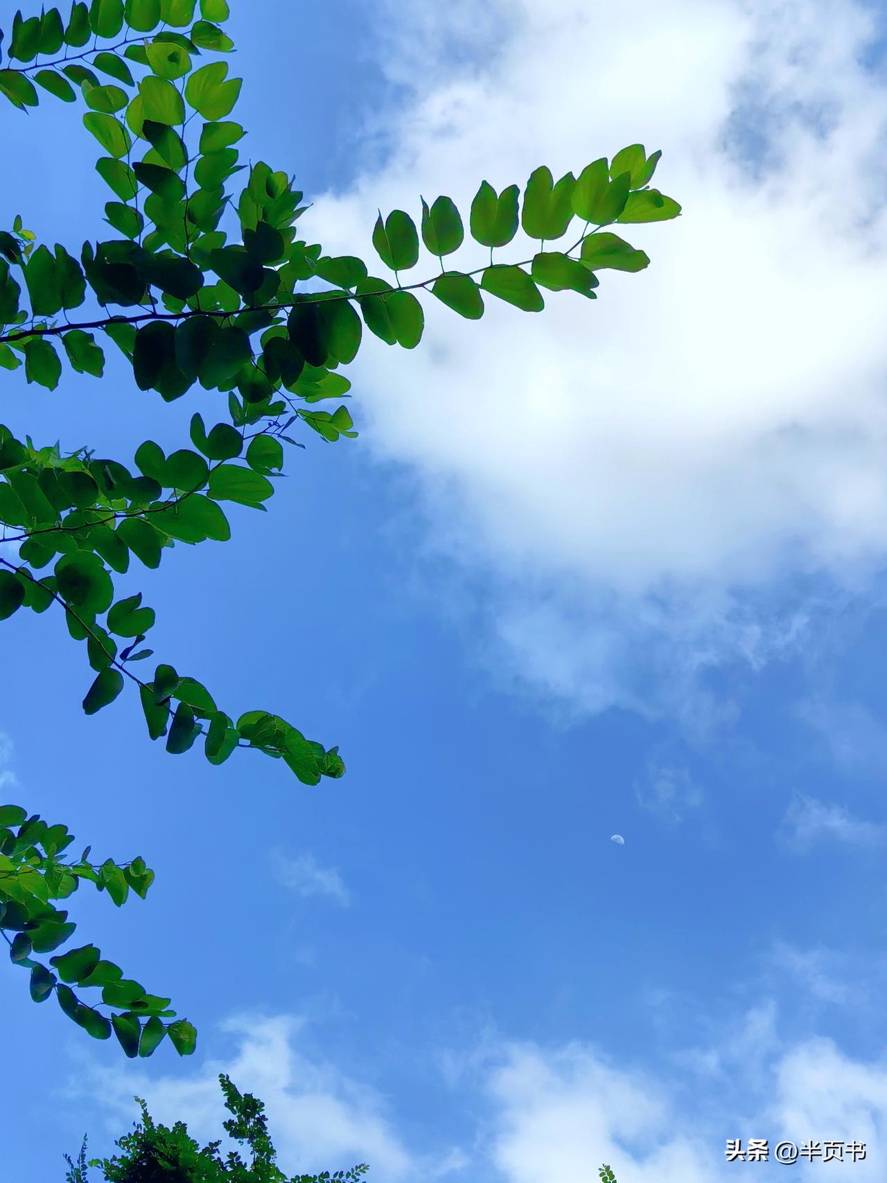 赤火马年，天干地支皆火，能量最强，才5月就天天35℃+。

加上5月5日19:4