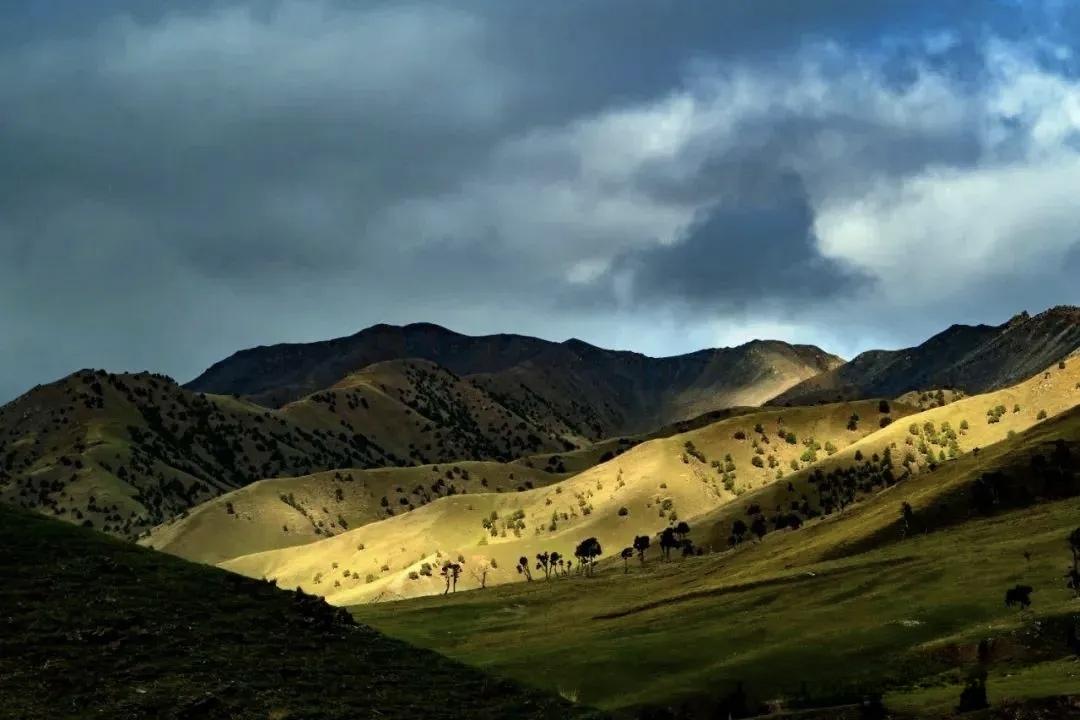 【你要明白，你再大方，如果没有本事，也不会有人高看你一眼】
        人啊