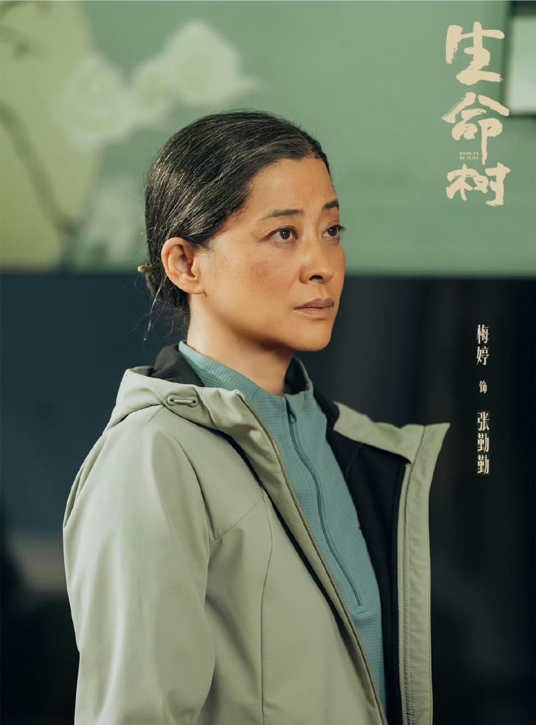 第33届中国电视金鹰奖最佳女配角：梅婷《生命树》。有点没想到，还以为是蒋欣和迟蓬