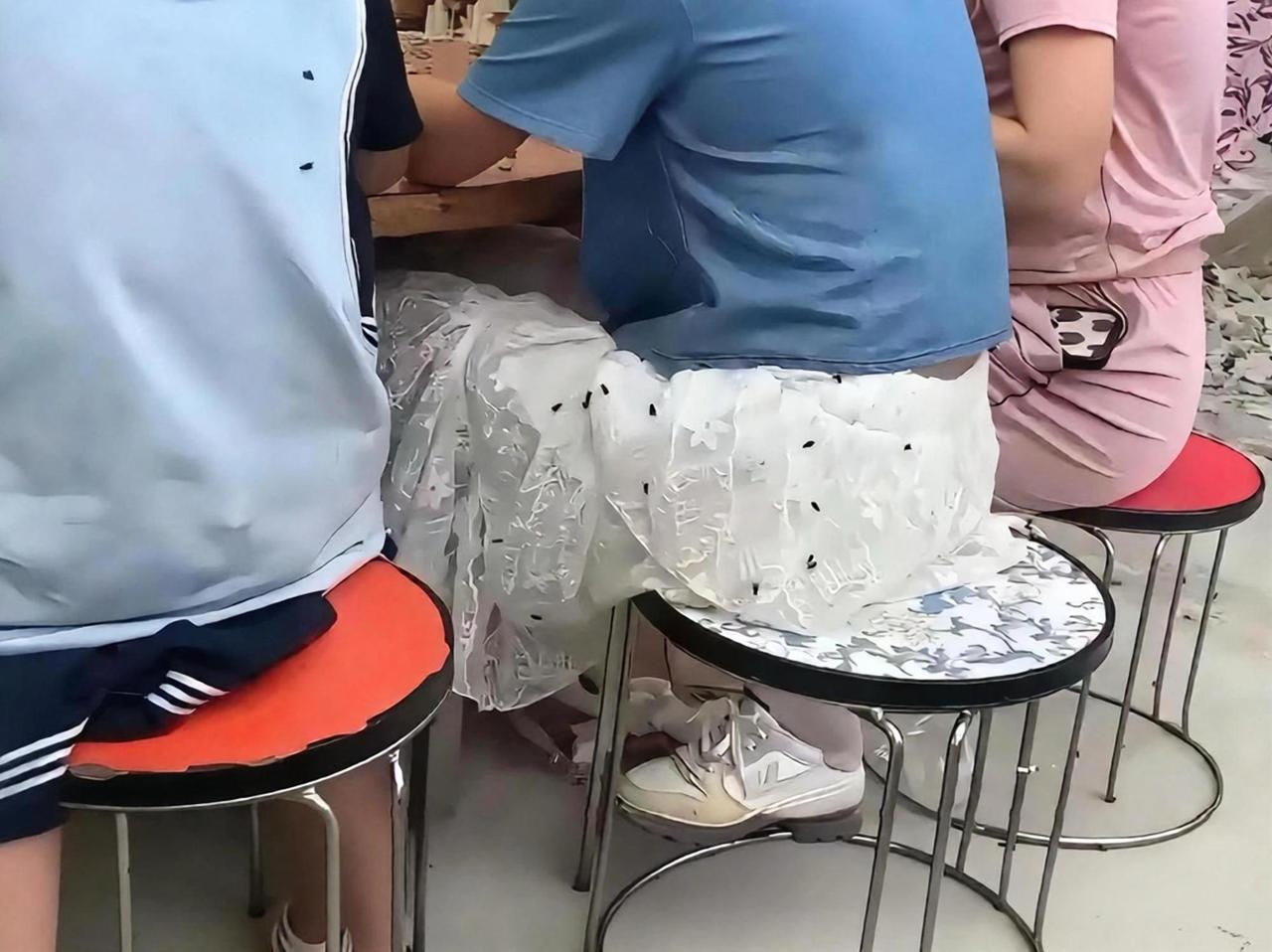 怎么这些苍蝇