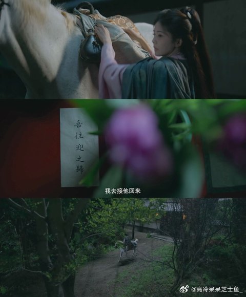 终于等到白鹿骑马正片了白马、青衫、山水间！白鹿骑马的这段正片简直是视觉与情感的双