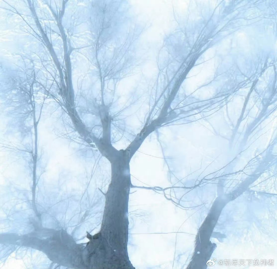 *°❄️ ☆°.* ♡ *:·冬日限定°*:· ❄️ ☆°.* ♡ *:·• ♡